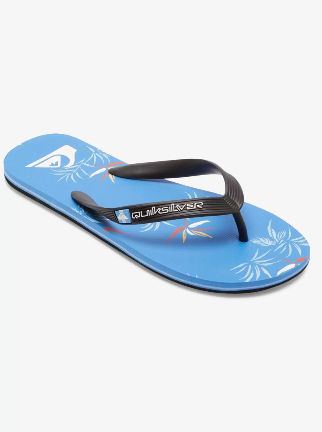 Quiksilver Molokai Art Gregg Kaplan - Chanclas Para Hombre-Hombre Zapatos