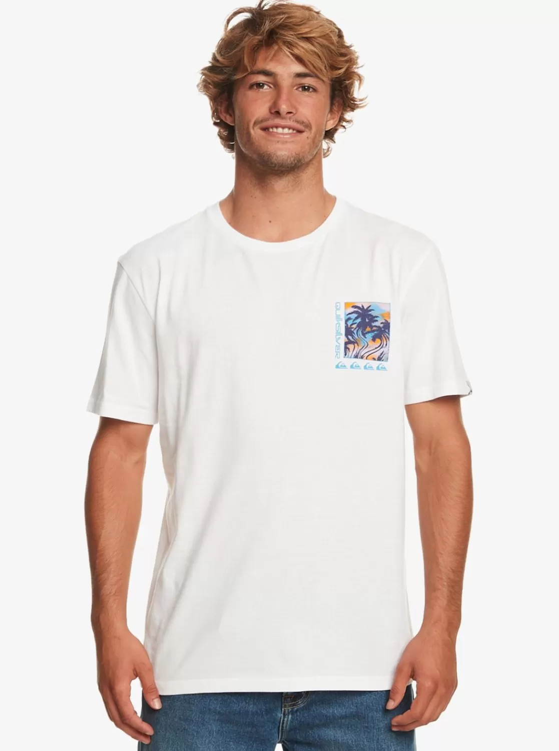 Quiksilver Poster - Camiseta Para Hombre-Hombre Camisetas & Polos